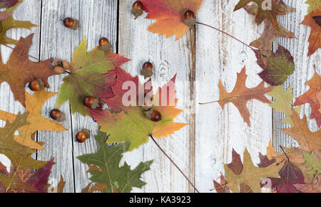 Fading Herbst Laub und Eicheln auf rustikalen weißem Holz Stockfoto