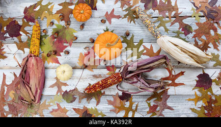 Fading Herbst Laub mit Kürbissen, Eicheln, Mais und Kürbisse auf rustikalen weißem Holz Stockfoto