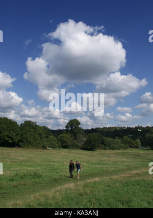 Blick über Hampstead Heath vom Parlament Hill Stockfoto