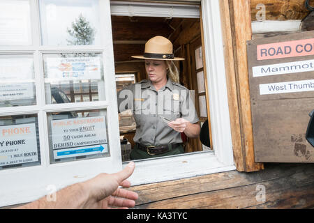 Park Ranger am Eingang stand in Karte und Park Informationen Übergabe an den Yellowstone National Park, USA Stockfoto