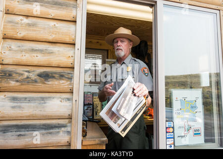 Männliche Park Ranger am Eingang stand in Karte und Park Informationen Übergabe an den Yellowstone National Park, USA Stockfoto