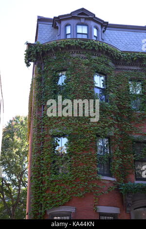 Brick Bund und viktorianischen Bow fronted Reihenhäuser und historischen Hotels in Boston's Iconic South End Nachbarschaft, New England, USA Stockfoto