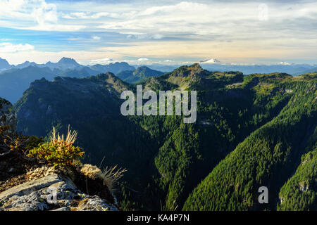 Der Blick nach Norden zum Mt. Baker vom Gipfel des Dickerman Berg in der Umgebung von Mt. Baker Snoqualmie National Forest im Staat Washington. Stockfoto