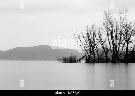 Langzeitbelichtung, Blick auf den See, mit perfekt noch Wasser- und Skelettsystems Bäume Stockfoto