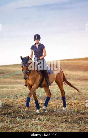 Frau ein Pferd reiten. Equestrian Sportlerin jockey Stockfoto