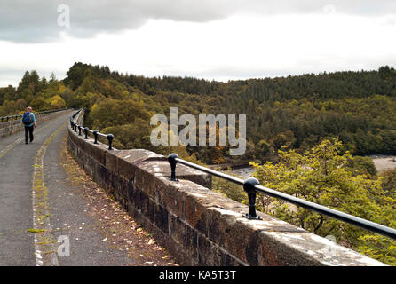 Lambley Viadukt über den Fluss South Tyne in Northumberland/South Tyne Trail Stockfoto