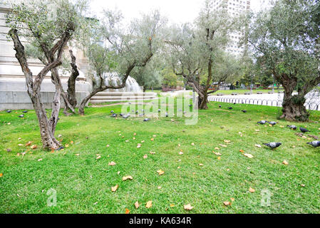 Gruppe von Tauben auf den park Miguel de Cervantes Denkmal auf der Plaza de España in Madrid, Spanien Stockfoto