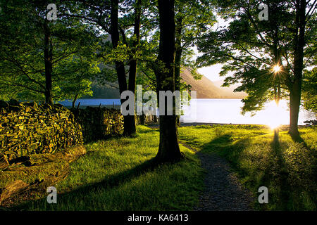 Schönen Sonnenuntergang auf buttermere Lake, Lake District National Park, Cumbria Großbritannien. Sonnenstrahlen woodland Eingeben, Erstellen langen Baum Schatten, gold See. Stockfoto