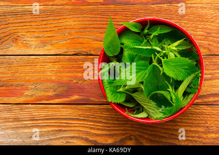 Frisches Grün brennessel Blätter in einem roten Schüssel auf braunem Holz- Hintergrund. mit Platz für Buchungsinformationen. rustikalen Stil Stockfoto