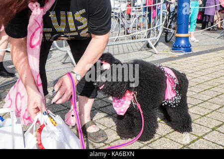 An, Elvis, Festival, Elvis Festival, Porthcawl, Bridgend, Grafschaft, Süden, Wales, Großbritannien, Großbritannien, Europa, Stockfoto