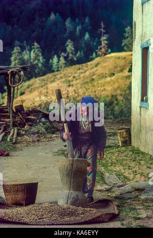 Frau Stampfen von Reis in Holz- Mörtel, Nepal, Asien - stp 258987 Stockfoto