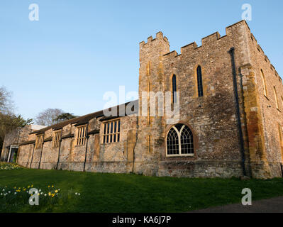 Das Museum von Somerset, Taunton Schloss, Taunton, Somerset, England, UK. Stockfoto