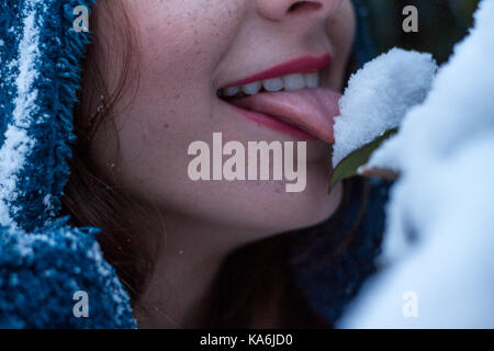 Nahaufnahme eines weiblichen lecken Schnee auf einem Blatt. Soft Focus Stockfoto