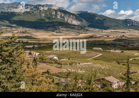 Blick auf das ganze Tal der Weinberge, La Rioja Alavesa und Álava, mit den Bergen von Kantabrien und La Demanda im Dorf Laguard Stockfoto