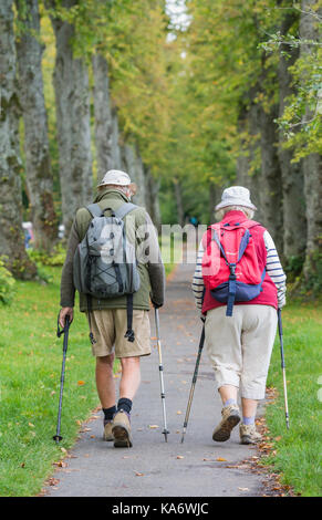 Ältere Paare Wandern entlang eines Pfades zwischen Bäumen mit Walking Stöcken/Sticks in Großbritannien. Stockfoto