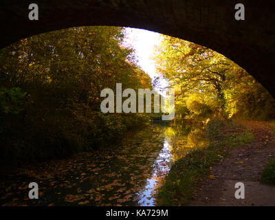 Der Basingstoke Kanal Stockfoto