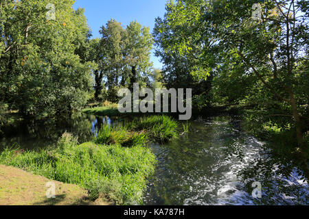 Sommer Warmington Wassermühle, Fluss Nene, Warmington Dorf, Grafschaft Northamptonshire, England, Großbritannien Stockfoto