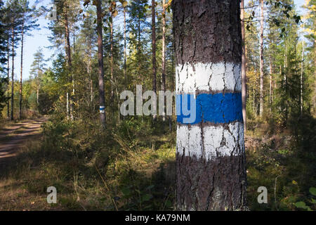 Finnische militärische Bereich Anzeichen auf Baumstämmen, Finnland Stockfoto