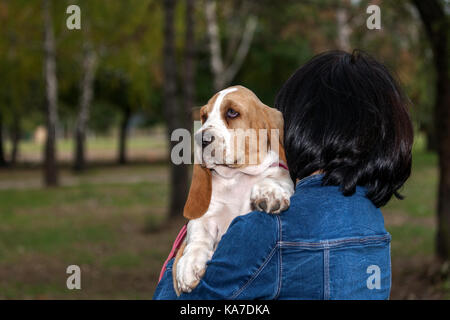 Kleine Welpen wurde bereits von Wanderungen müde, so sein Besitzer trägt es in seinen Händen. Kleine Welpen sitzt im Gras und schaut sich um. Platz kopieren Stockfoto