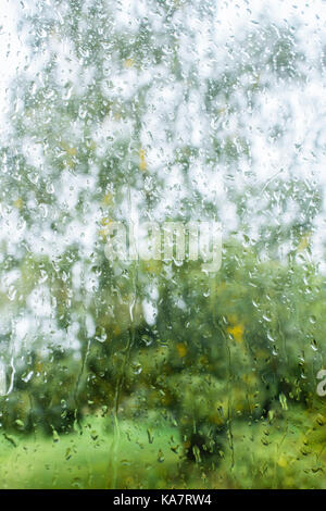 Regentropfen auf dem Fenster. Regen auf Glas. Abstrakt Grün verschwommenen Hintergrund mit Blick auf einen Baum. Frankreich Stockfoto
