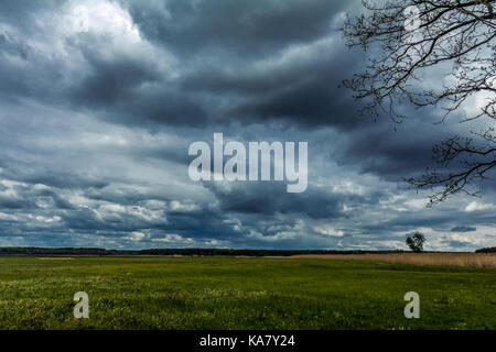 Dunkle schwere stürmischen Wolken haben den Himmel über dem Feld abgedeckt. Landschaft Landschaft Stockfoto