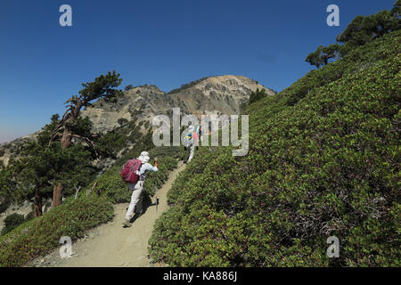 Mount Baldy, Kalifornien, USA. 24. Juni 2016. Wanderer den Weg auf den Gipfel des Mount San Antonio. Mount San Antonio, umgangssprachlich als Mount Baldy, ist der höchste Gipfel der San Gabriel Mountains, und der höchste Punkt in Los Angeles County, Kalifornien. Der Gipfel befindet sich in der San Gabriel Mountains National Monument und Angeles National Forest. Mount San Antonio manchmal schneebedeckten Gipfeln sind an klaren Tagen sichtbar und der Blick auf die Skyline von Los Angeles Becken dominieren. Credit: Rocky Stewart/ZUMA Draht/Alamy leben Nachrichten Stockfoto