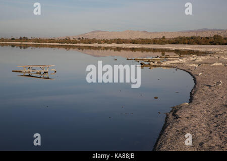 Bombay Beach, Kalifornien, USA. 10 Dez, 2016. Der Salton Sea ist ein flacher, Saline, endorheic rift See direkt auf der San Andreas Störung, vorwiegend in den südlichen Kalifornien Imperial und Coachella Täler. Der tiefste Punkt des Meeres ist 1,5 m (5 ft) höher als der niedrigste Punkt des Death Valley. Die jüngsten Zufluss von Wasser aus dem inzwischen stark kontrollierten Colorado River wurde versehentlich durch die Ingenieure der Kalifornien Development Company im Jahre 1905 erstellt. Die daraus resultierenden Abfluss die engineered Canal überwältigt, und der Fluss floss in den Salton Becken für zwei Jahre, füllen Stockfoto