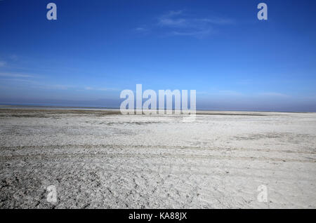 Bombay Beach, Kalifornien, USA. 10 Dez, 2016. Wattenmeer am Ufer des Salton Sea. Der Salton Sea ist ein flacher, Saline, endorheic rift See direkt auf der San Andreas Störung, vorwiegend in den südlichen Kalifornien Imperial und Coachella Täler. Der tiefste Punkt des Meeres ist 1,5 m (5 ft) höher als der niedrigste Punkt des Death Valley. Die jüngsten Zufluss von Wasser aus dem inzwischen stark kontrollierten Colorado River wurde versehentlich durch die Ingenieure der Kalifornien Development Company im Jahre 1905 erstellt. Die daraus resultierenden Abfluss die engineered Canal überwältigt, und der Fluss floss in Stockfoto