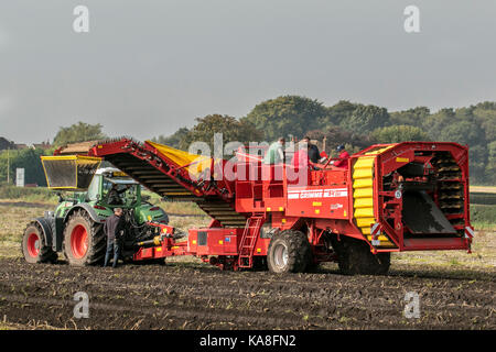 Kartoffelerntemaschinen in Hesketh Bank, Lancashire. Wetter in Großbritannien. 26. September 2017. Feine Bedingungen für die automatische Kartoffelernte mit einem deutschen Grimme SV 260 Erntetraktor und Maschinen. Wanderarbeitnehmer, die beim Sammeln der wichtigsten im September geernteten Lagerkulturen helfen, wenn die Tage abkühlen und vor dem ersten Frost. Stockfoto