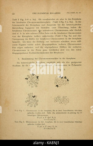 Die botanical Magazine = (Seite 22) BHL 5431852 Stockfoto