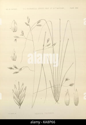 Nach United States geographischen Erhebungen westlich der hundertste Meridian Bericht (Plate XXIX) BHL 30818388 Stockfoto