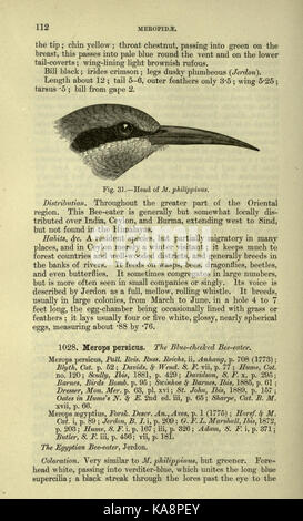 Die Fauna von Britisch Indien, Ceylon und Birma (Seite 112) BHL 20629722 Stockfoto