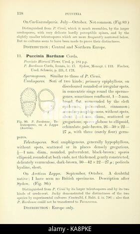 Die britische Rostpilze (uredinales) (Seite 138) BHL 2990872 Stockfoto