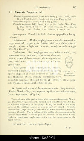 Die britische Rostpilze (uredinales) (Seite 147) BHL 2990881 Stockfoto