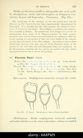 Die britische Rostpilze (uredinales) (Seite 229) BHL 2990963 Stockfoto