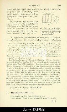 Die britische Rostpilze (uredinales) (Seite 355) BHL 2991089 Stockfoto