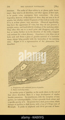 "The Canadian Naturalist and Geologist" ist eine wissenschaftliche Zeitschrift mit diesem speziellen Verweis auf Seite 196, die einen artikel über Naturgeschichte und Geologie in Kanada enthält. Die Zeitschrift enthält Studien und Erkenntnisse aus diesen wissenschaftlichen Disziplinen. Stockfoto