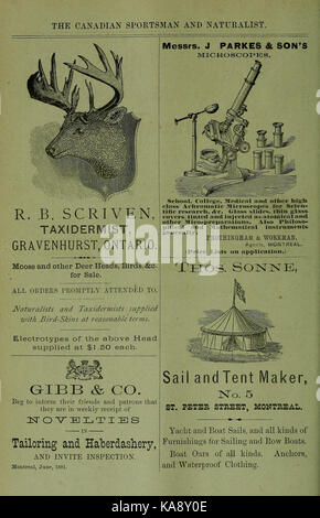 Die kanadische Sportler und Naturforscher BHL 39473446 Stockfoto