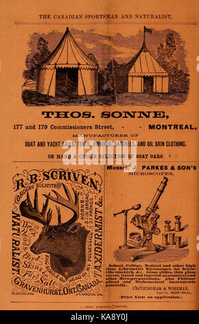 Die kanadische Sportler und Naturforscher BHL 39473552 Stockfoto