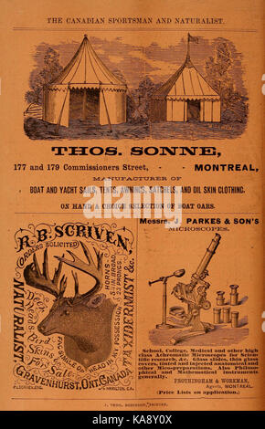 Die kanadische Sportler und Naturforscher BHL 39473592 Stockfoto