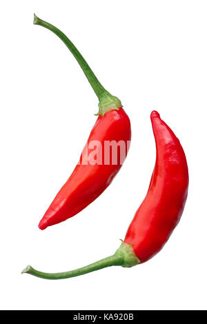 Aji brasilianischen Bonanza Pfeffer (C. baccatum), reifen Hülsen. Beschneidungspfad für jede Stockfoto