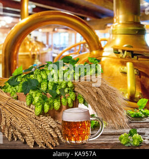 Bierglas mit Hopfen und Gerste in der Brauerei Stockfoto