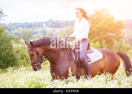 Junge Reiter Mädchen mit langen Haaren, Bay Horse auf Kamille Feld an einem sonnigen Tag Stockfoto