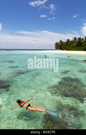 Schnorcheln Malediven - eine Frau schnorcheln im Indischen Ozean; Rasdhoo Atoll, die Malediven, Asien Stockfoto