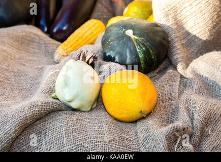 Landwirtschaft verschiedene frische Gemüse auf dem Grobem leinen tuch geerntet Stockfoto