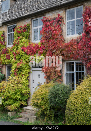 Herbstliche Virginia Creeper/amerikanischen Ivy auf ein Haus in Bledington, Cotswolds, Gloucestershire, England Stockfoto