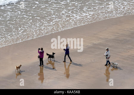 Leute, die Hunde auf der Broad Haven South Beach in der Nähe des Dorfes Bosherston in South Pembrokeshire in West Wales gelegen. Stockfoto