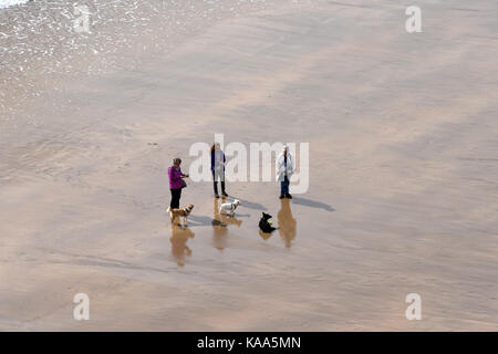 Leute, die Hunde auf der Broad Haven South Beach in der Nähe des Dorfes Bosherston in South Pembrokeshire in West Wales gelegen. Stockfoto