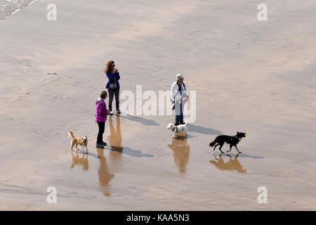 Leute, die Hunde auf der Broad Haven South Beach in der Nähe des Dorfes Bosherston in South Pembrokeshire in West Wales gelegen. Stockfoto