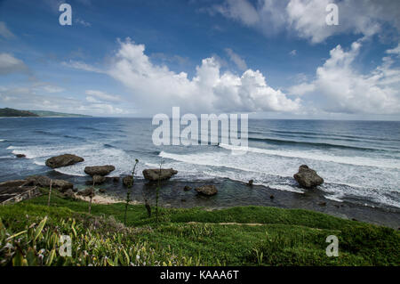 Schöne und robuste Bathsheba Beach an der Ostküste von Barbados Stockfoto